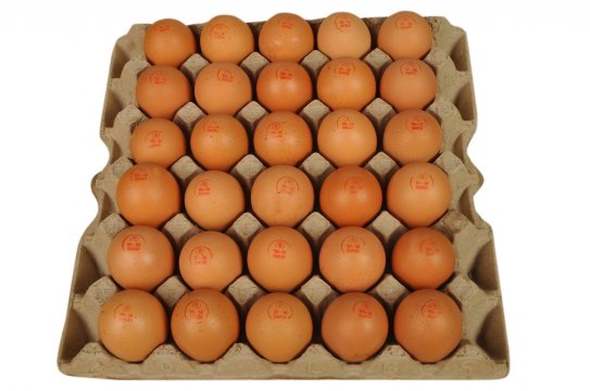 Beyoğlu Organik Yumurta Satış Servis Ve Dağıtım Hizmetleri