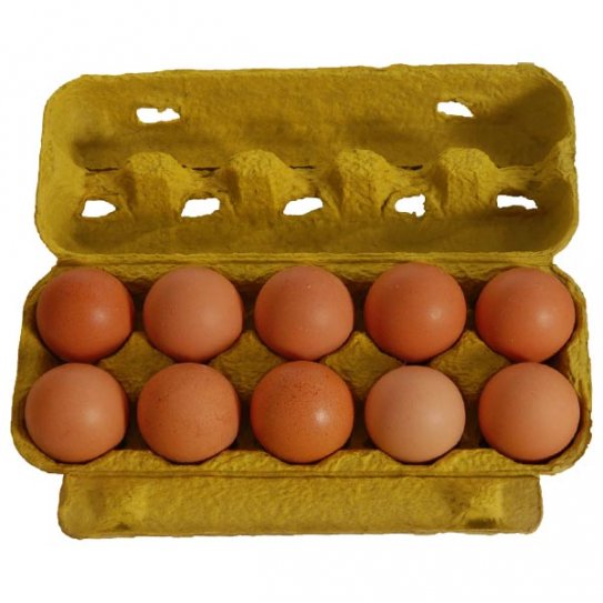 Sultangazi Organik Yumurta Satış Servis Ve Dağıtım Hizmetleri