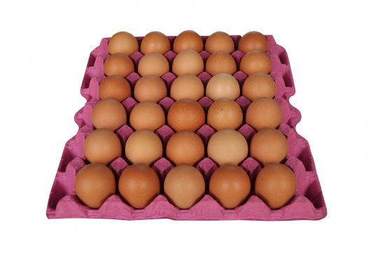 Gurme Life Serbest Gezen Tavuk Yumurtası Toptan Satış Ve Dağıtım Hizmetleri