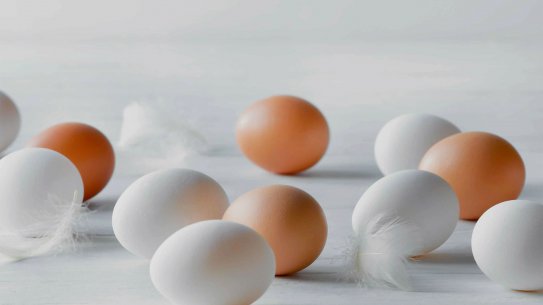 Ataşehir Yumurta Satış Ve Dağıtım Hizmetleri
