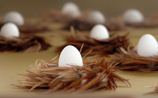Yumurtanın Kullanım Alanları Nelerdir?