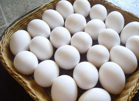 Restoranlara Toptan Yumurta Satış Ve Dağıtım Hizmetleri