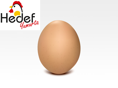 Büyükçekmece Toptan Yumurta Satış Ve Servis Hizmetleri