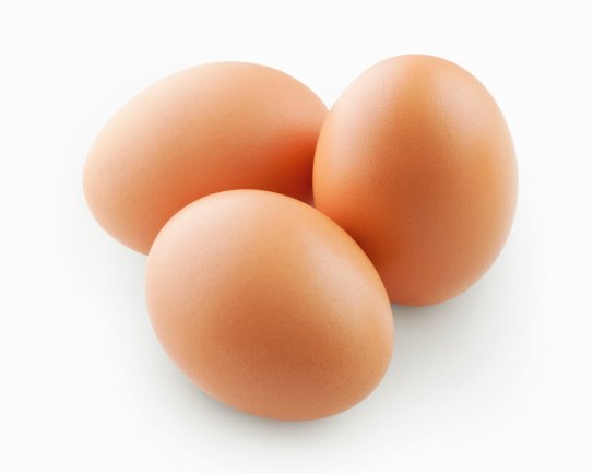 Esenyurt Toptan Yumurta Satış Ve Dağıtım Hizmetleri