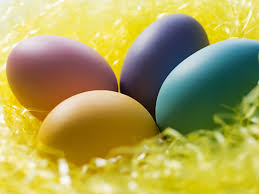 Güngören Toptan Yumurta Satış Ve Dağıtım Hizmetleri