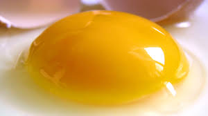 Kartal Toptan Yumurta Satış Ve Dağıtım Hizmetleri