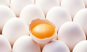 Şile Organik Yumurta Satış Servis Ve Dağıtım Hizmetleri