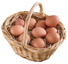 Bayrampaşa Toptan Yumurta Satış Ve Servis Hizmetleri