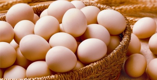 Otellere Toptan Yumurta Satış Ve Dağıtım Hizmetleri