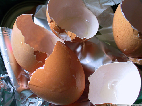 Yumurta Kabukları Kullanılabilir Mi?