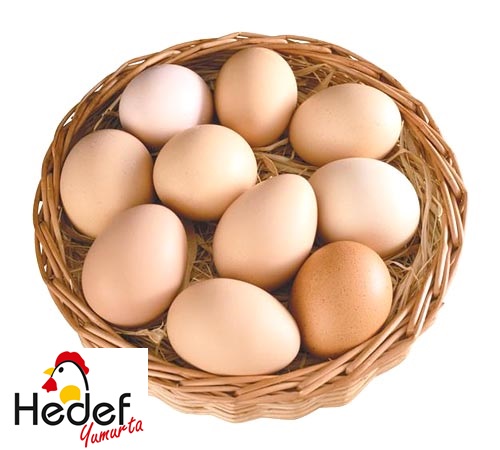 Silivri Toptan Yumurta Satış Ve Servis Hizmetleri