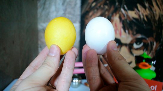 Pendik Toptan Yumurta Satış Ve Dağıtım Hizmetleri