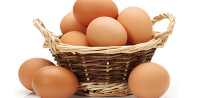 Sultangazi Toptan Yumurta Satış Ve Dağıtım Hizmetleri