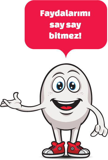 Yumurtanın İnsan Sağlığındaki Etkileri