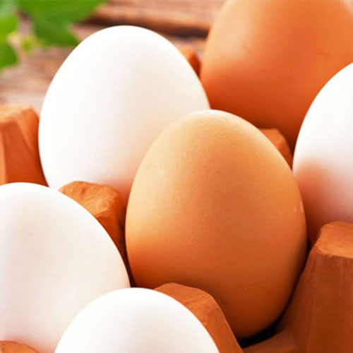 Kafelere Toptan Yumurta Satış Ve Dağıtım Hizmetleri