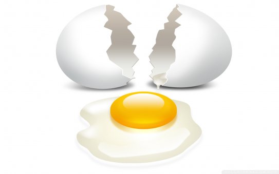Beykoz Toptan Yumurta Satış Ve Dağıtım Hizmetleri