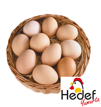 Başakşehir Toptan Yumurta Satış Ve Servis Hizmetleri